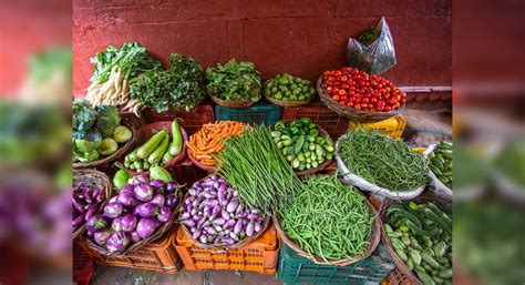 Indian Vegetables Names With Pictures - Infoupdate.org