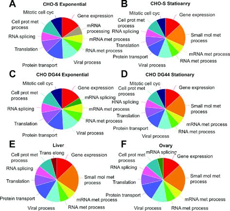 Top 10 Enriched Biological Processes Gene Ontology Analysis Was Used Download Scientific