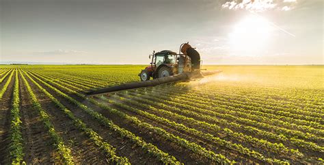 Transformation De Lagriculture En Afrique Le Maroc A Un Rôle à Jouer