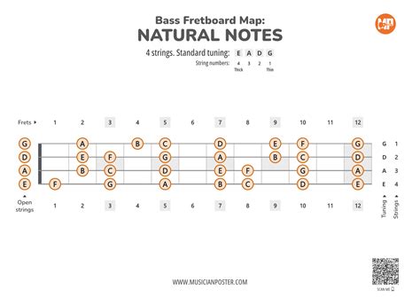 Bass Guitar Printable Fretboard Map With Natural Notes