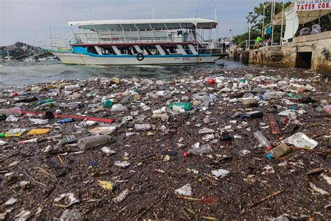 Cofepris Dice Que Playas No Son Aptas Para Uso Por Contaminaci N