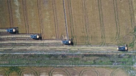 Balıkesir Fotoğraf Galerileri TRT Haber Son Dakika Haberler ile