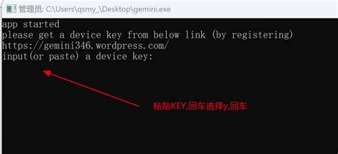 Gemini使用教程 - 异地远程联网技术 - 博客园