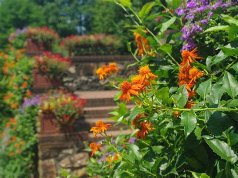 Festival of Fountains | Longwood Gardens