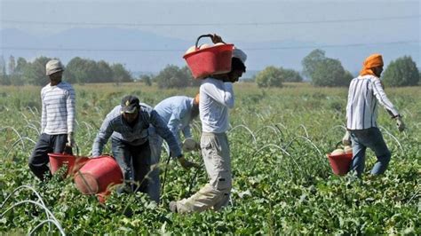 Lo Sfruttamento Dei Migranti Al Tempo Della Pandemia