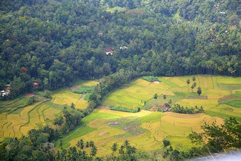 Scenic Train Journeys In Sri Lanka Ella To Kandy Train Tours In Sri