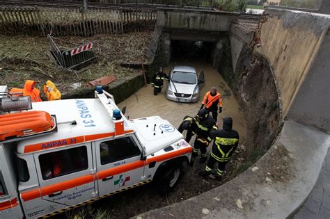 Firenze L Arno Esonda Alle Sieci Cade Un Leccio Sul Viale Del Poggio