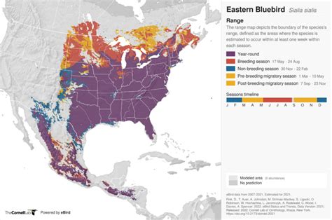 Eastern Bluebird Range Map Backyard Birds North American Ornithology