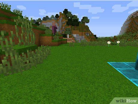 How to Take a Screenshot in Minecraft PC: 4 Steps (with Pictures)