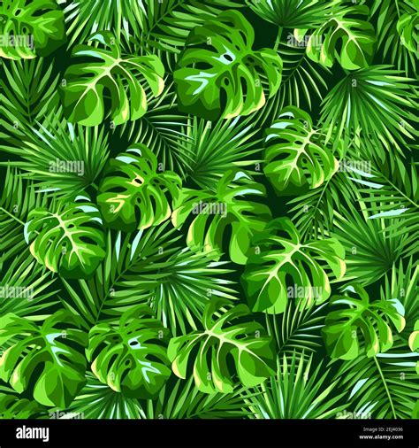 Vector Tropical Seamless Pattern With Green Monstera And Palm Leaves Stock Vector Image And Art