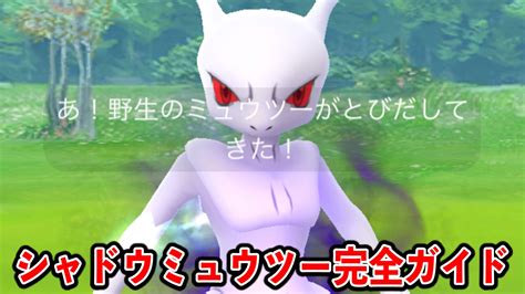 【ポケモンgo】シャドウミュウツー対策･育成論【シャドウレイド】 Page 2 Of 3 Appbank