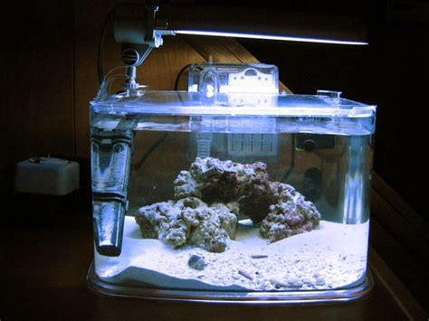 Tom S 3 Gal Pico With Live Rock And Sand Tank Shots Nano Reef Community