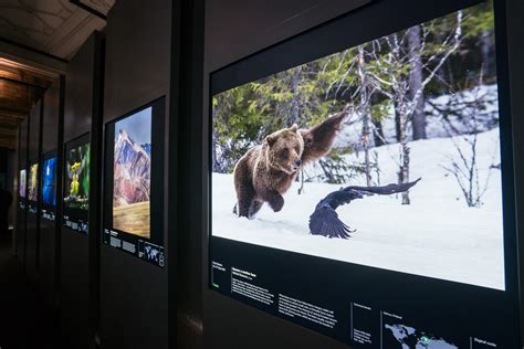 Wildlife Photographer of the Year im Natural History Museum London ...