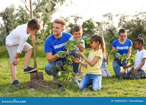 Kids Planting Trees With Volunteers Stock Photo Image Of People Park