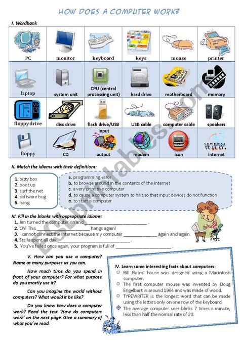 HOW DOES A COMPUTER WORK ESL Worksheet By Catherine Shutik