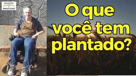 O que VOCÊ TEM PLANTADO YouTube