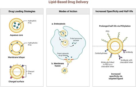 Figure 1 From Combinational System Of Lipid Based Nanocarriers And