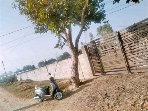 Resale Sq Yd Plot In Palwal Faridabad