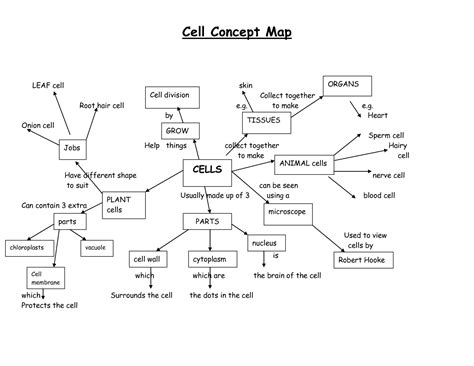 Cell Structure And Function Concept Map Answers Map