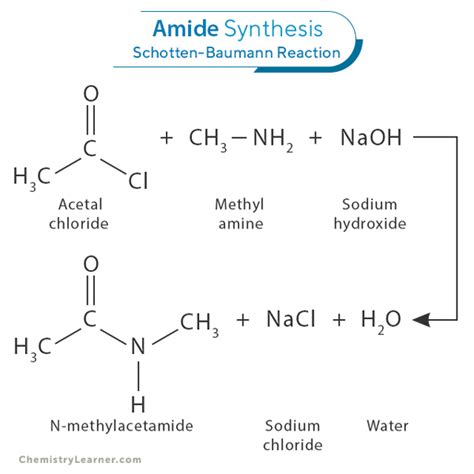 Amide Definition Structure Nomenclature And Examples