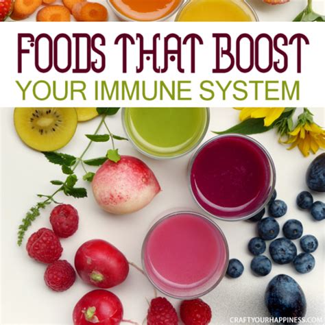 Foods That Boost The Immune System