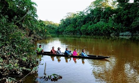 “Yasuni National Park” 5 Days/4 Nights - Akangau Jungle Expeditions Amazon