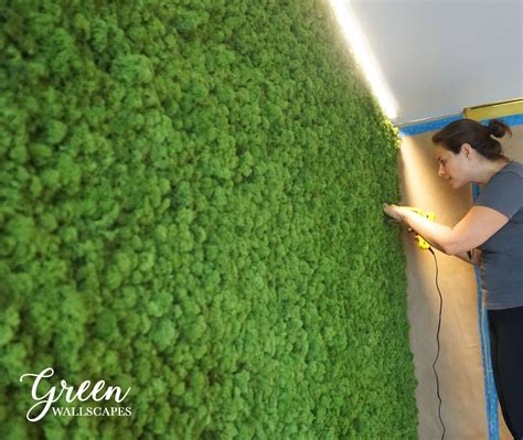 Custom Reindeer Moss Wall Green Wallscapes Moss On The Etsy