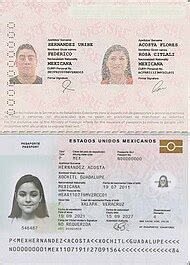 Los pasaportes mexicanos tienen número de libro