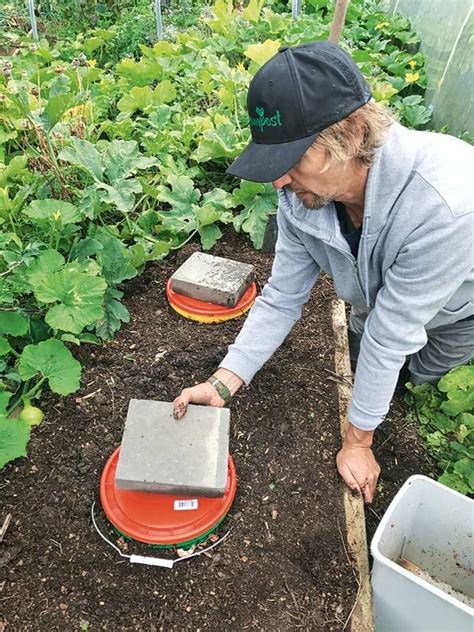 Easy Diy Worm Composter / Cheap & Easy DIY Compost Bin - the ...