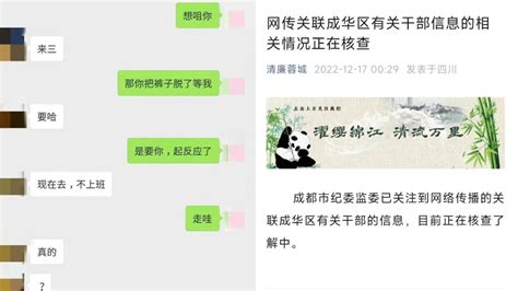 成都官方回应网传男女副区长不雅聊天曝光：正在核查了解中 腾讯视频