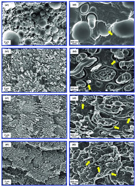 SEM Micrographs Subsequent To Tensile Testing Of The 40 60 Binary Blend