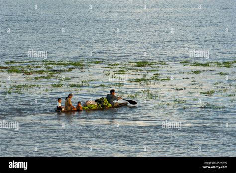 Familia local transportando bananas en canoa por el río Ucayali en la