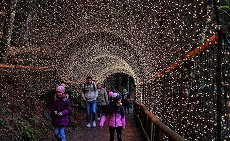 Triberg Triberger Weihnachtszauber Rundgang über das Gelände SÜDKURIER