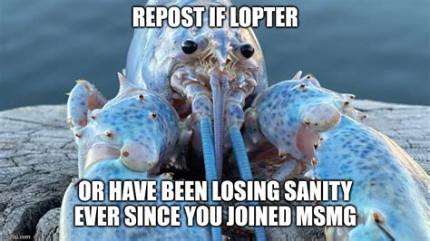 Blue Lobster Imgflip