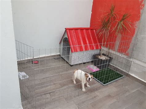 Jaula Casa Corral Para Perro 75cm Alto 10 Paneles 104000 En