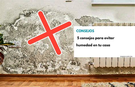 5 Consejos Para Evitar Humedad En Tu Casa ARQZON