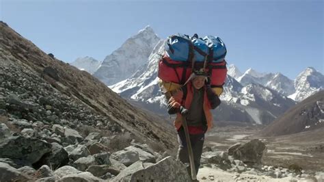 Descubre Todo Sobre Los Sherpa Aquí Y Mucho Mas