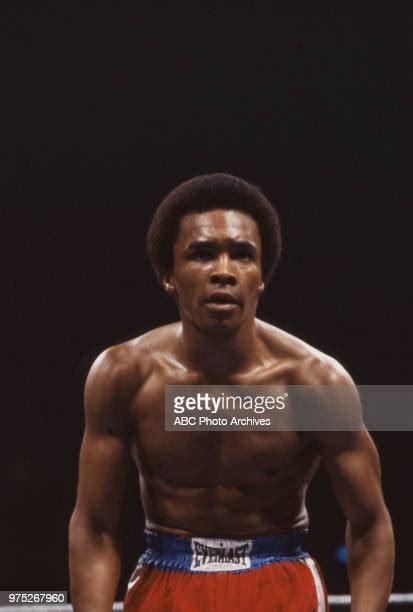 Veteran Boxer Photos And Premium High Res Pictures Getty Images