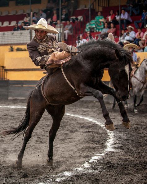 Jineteo De Yegua Charreria Charreria Mexicana Charro Mexicano