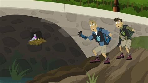 Watch Wild Kratts Season 1 Episode 1 Mom Of A Croc Full Hd On