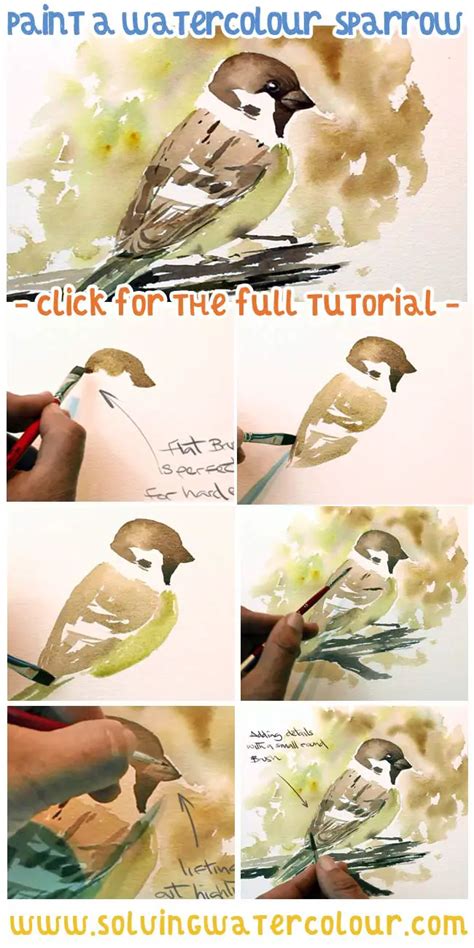 How To Paint Loose Watercolor Birds Sparrow Tutorial Solving