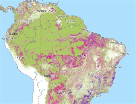 La Deforestación Del Amazonas El Orden Mundial Eom