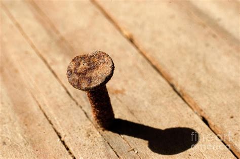 Rusty Nail In Old Wood Photograph By Ofer Zilberstein Fine Art America