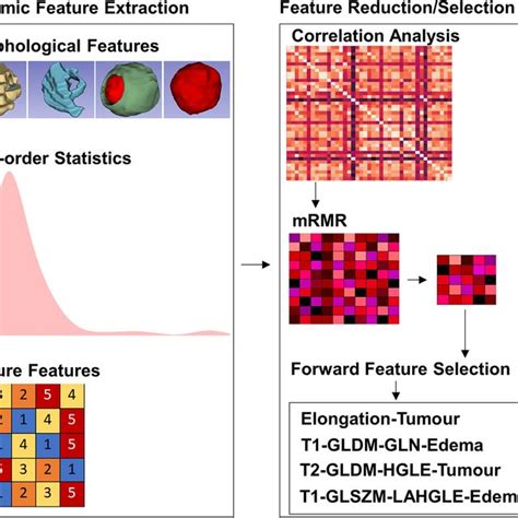 Scheme Of The Mri Radiomic Framework For Srt Outcome Prediction Download Scientific Diagram