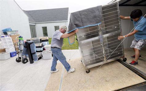 Animals moved into new Iowa City animal shelter | The Gazette