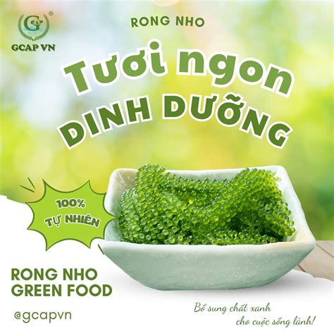rong nho bien phu yen dac san xu nau