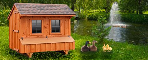 Duck Houses Duck Coops