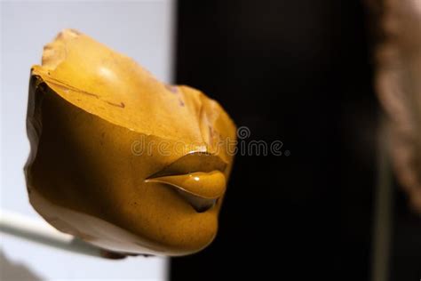 Fragment Of A Queen S Face Metropolitan Museum Of Art New York