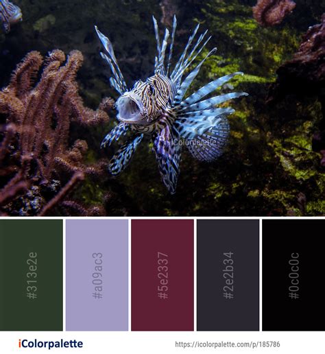 25 Coral Reef Color Palette Ideas In 2024 Icolorpalette