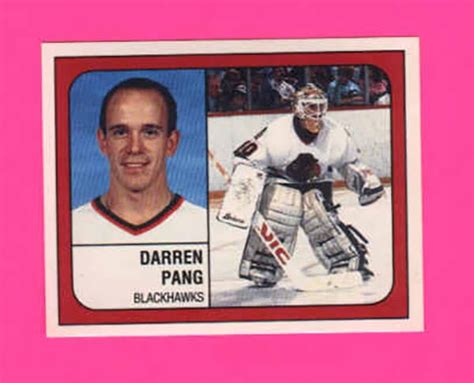 1988 PANINI #21-Darren Pang - NHL Hockey Stickers